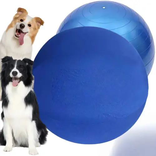 Inflatable Herding Ball for Dogs - Fabric Interactive Training Ball, Push & Chase Outdoor Toy for Herding Exercise & Men